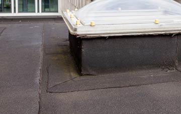 disadvantages of Winterbourne Earls flat roofs