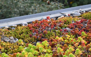 the cost of Winterbourne Earls green roof installation