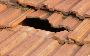 roof repair Winterbourne Earls, Wiltshire